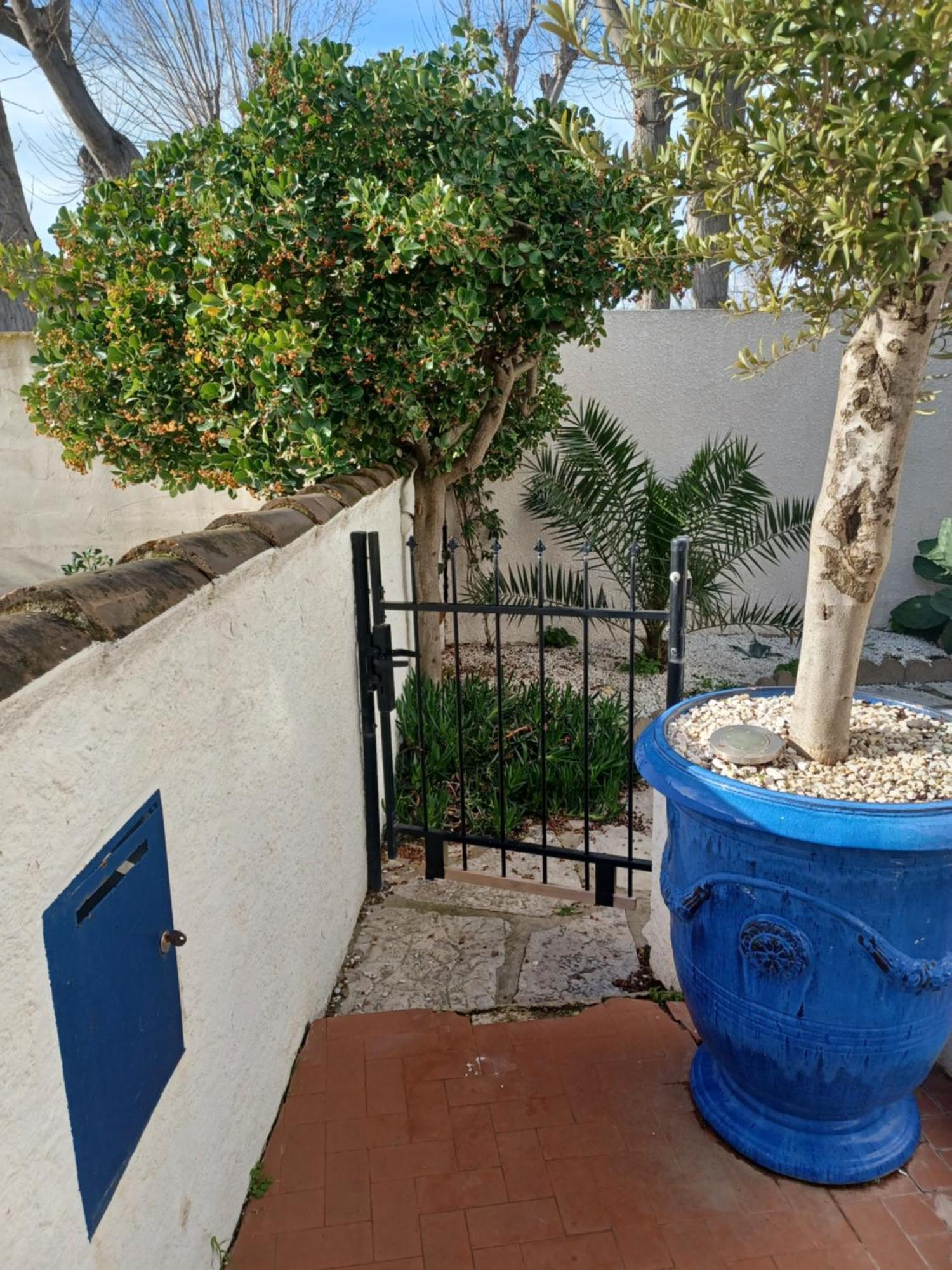 Appartement Avec Jardin Et Spa Valras-Plage Esterno foto