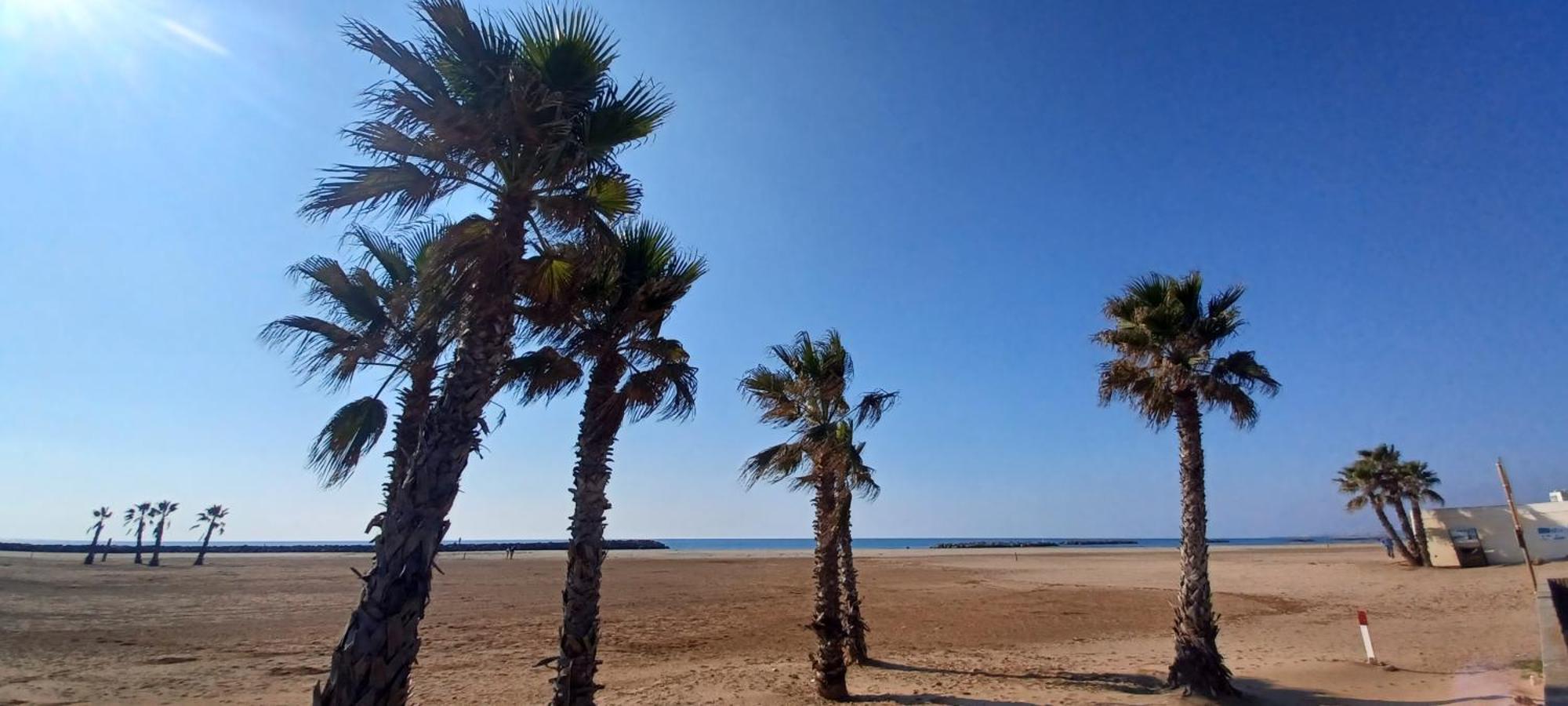 Appartement Avec Jardin Et Spa Valras-Plage Esterno foto
